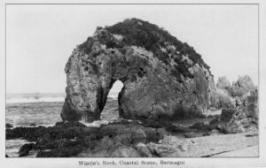 Wintle's Rock